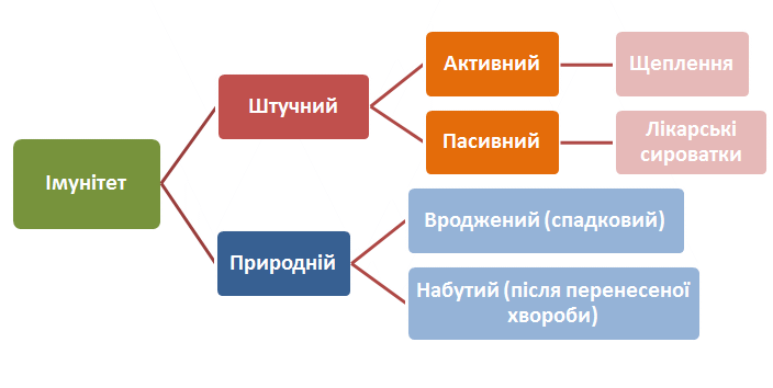 Iмунiтет людини - штучний, природний, набутий, вроджений, активний, пасивний