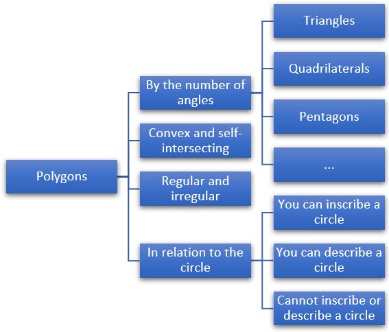 Classification of polygons by number of angles, ability to describe and inscribe a circle, etc.