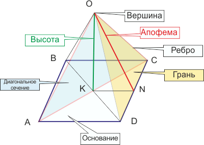 Пирамида и ее элементы - высота, ребро, апофема, основание, сечение