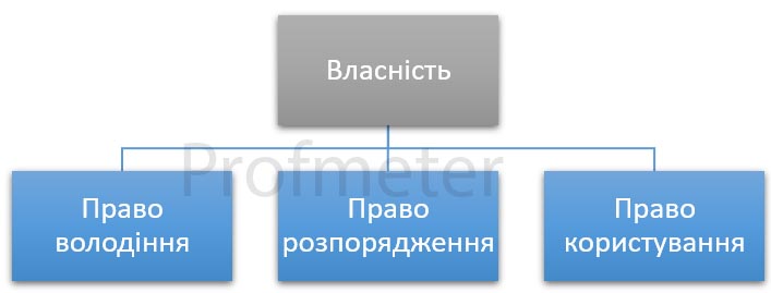 Елементи, з яких складається право власності